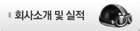 회사소개및실적